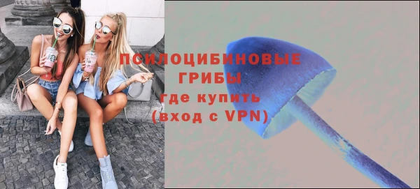 скорость Лиски