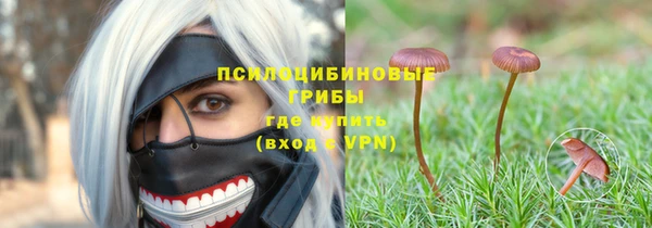 метадон Лихославль