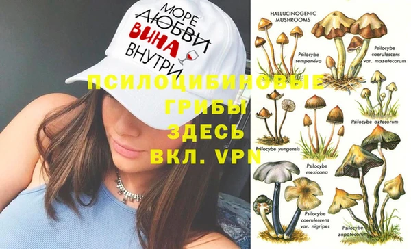 скорость Лиски