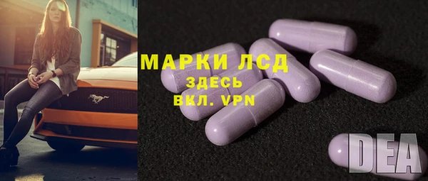 стаф Липки