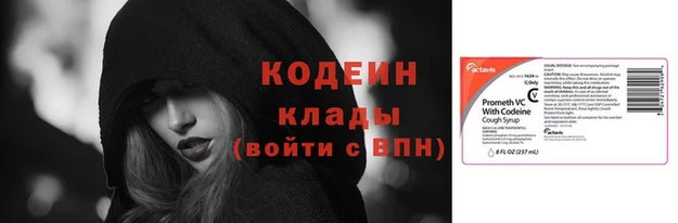 стаф Липки