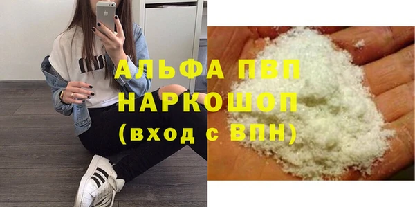 стаф Липки